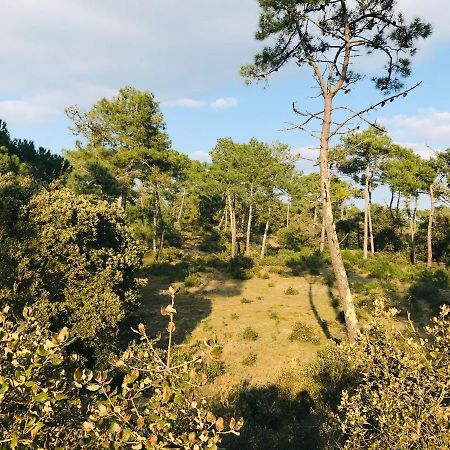 Pied A Terre A Deux Pas De La Mer, Des Commodites Σαιν-Ζαν-ντε-Μον Εξωτερικό φωτογραφία